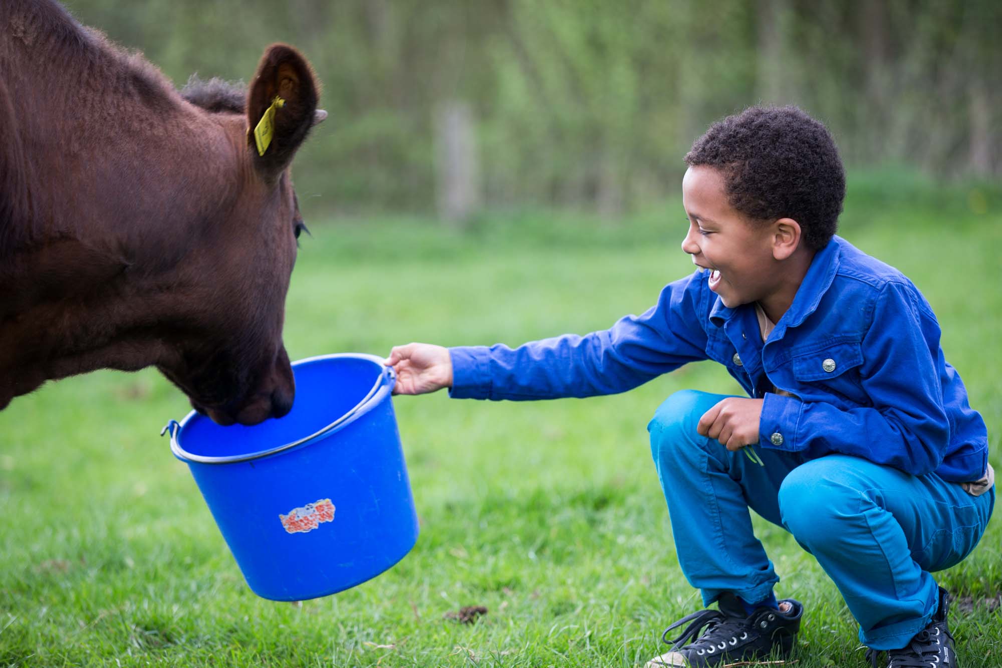 Rotterdam de boer op - Kind met koe -  Foto Pauline Joosten